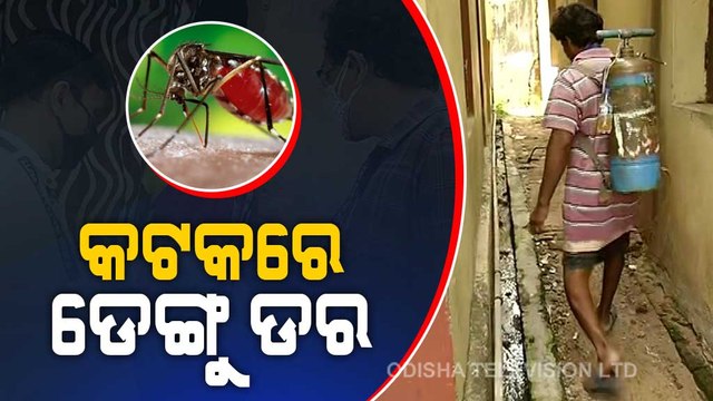 Dengue Haunts Odisha | Awareness Campaigns, Cleanliness Drives Launched In Cuttack