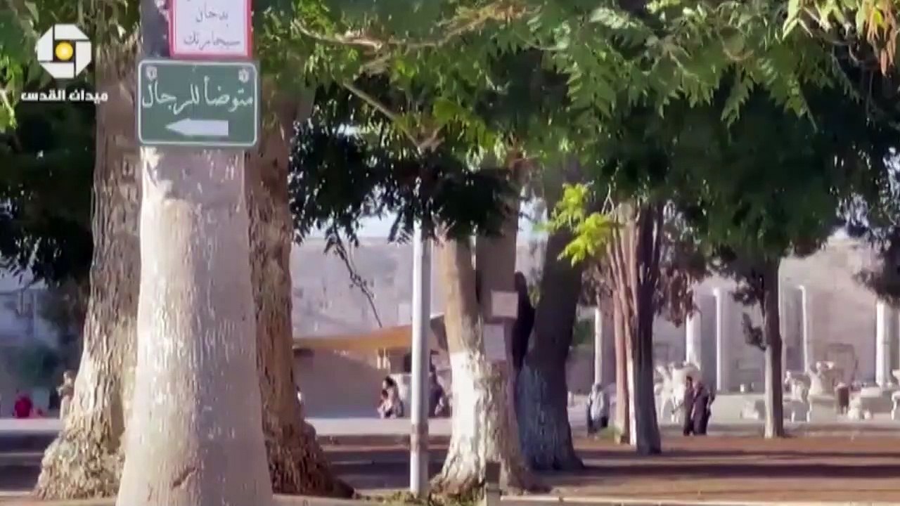 الاحتلال الإسرائيلي يقتحم المسجد الأقصى ويطلق ا...