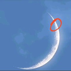 May Nakita Sa Moon