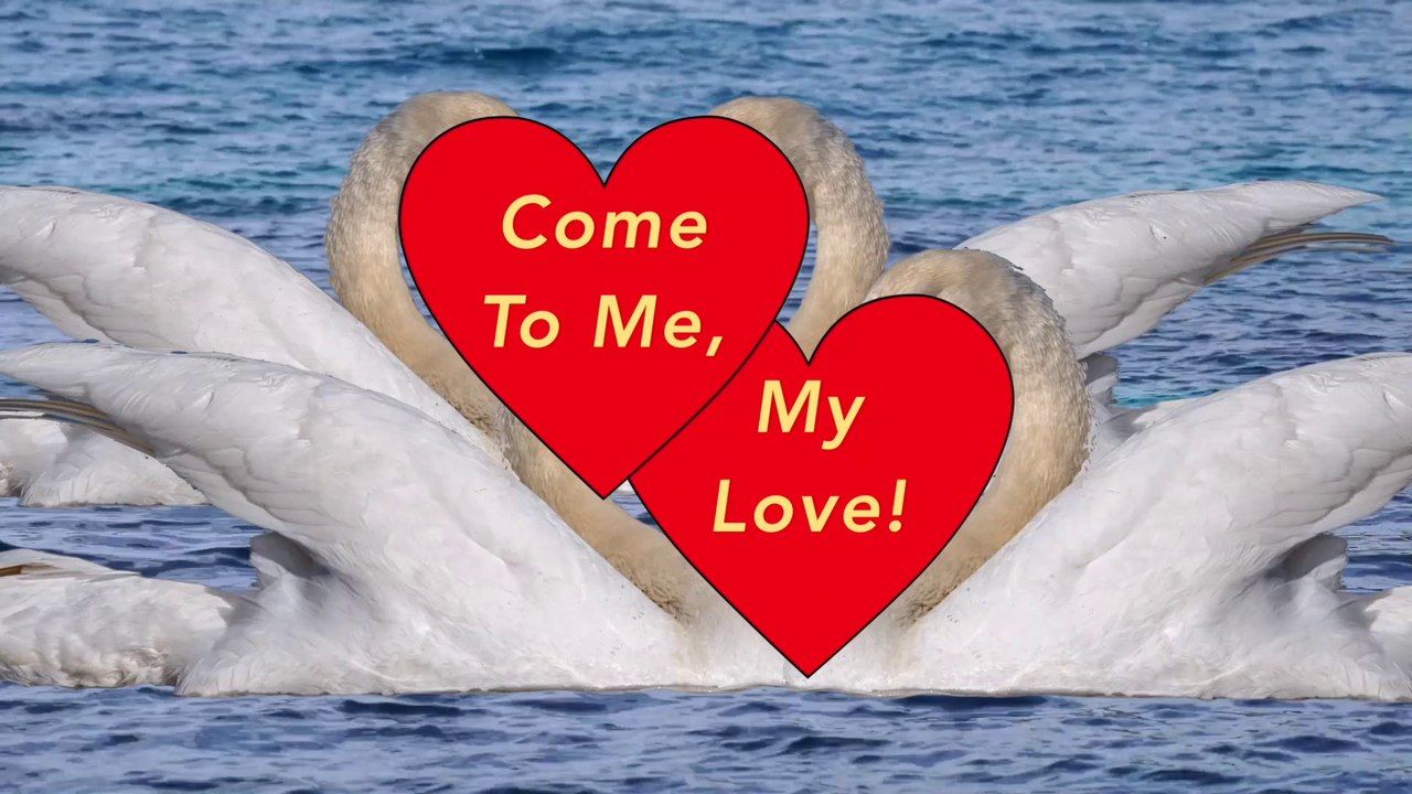Come To Me, My Love! (Official Music Video)
