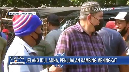 Скачать видео: Meski Harga Hewan Qurban Meningkat, Jelang Idul Adha Penjualan Kambing Meningkat Drastis!