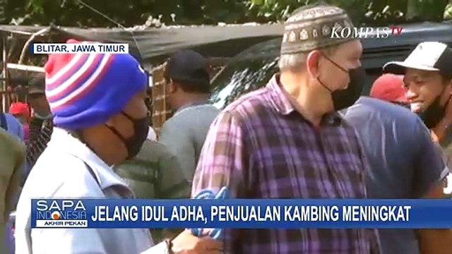 Meski Harga Hewan Qurban Meningkat, Jelang Idul Adha Penjualan Kambing Meningkat Drastis!
