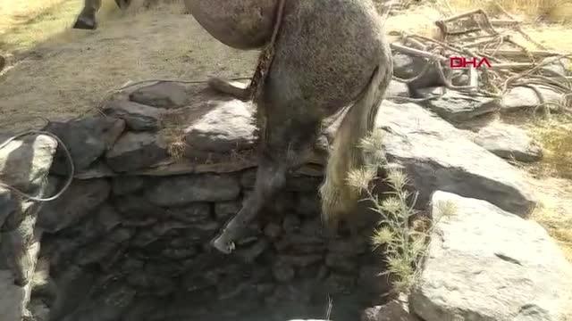 KUYUYA DÜŞEN AT, İTFAİYE EKİPLERİNCE KURTARILDI