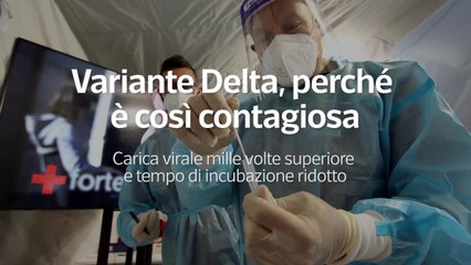 Variante Delta, perche' e' cosi' contagiosa