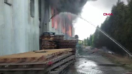 Son dakika haberleri... TEKİRDAĞ'DA GERİ DÖNÜŞÜM FABRİKASINDA YANGIN