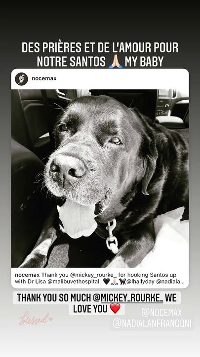 Laeticia Hallyday prie pour son chien Santos. Instagram. Le 17 juillet 2021.