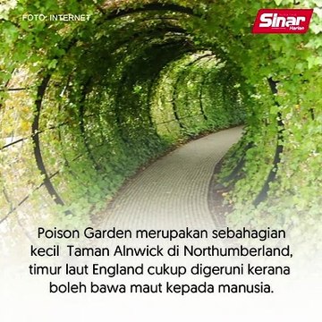 ‘Taman pembunuh’ paling bahaya di dunia!