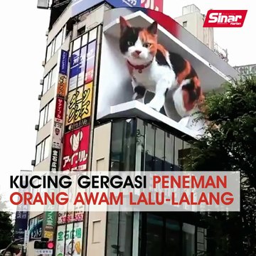 Kucing gergasi peneman orang awam lalu-lalang