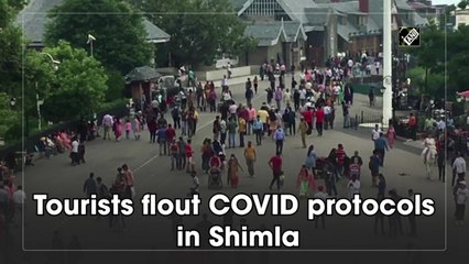 Tourists flout Covid-19 protocols in Shimla