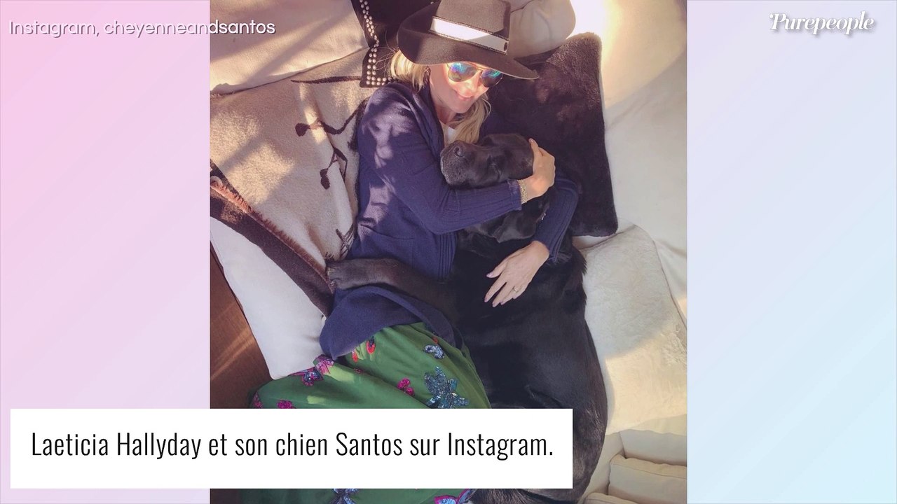 Laeticia Hallyday en panique : Santos, le chien de Johnny, en piteux état à l'hôpital