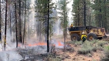 Milhares combatem fogo em Oregon