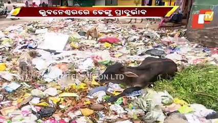 16 Dengue Patients Undergoing Treatment In Capital Hospital