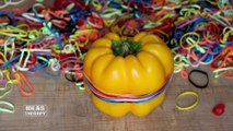 Capsicum, Peppers Vs Rubber Bands | Ideas Therapy