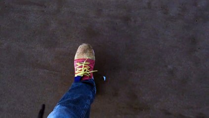 Slow Down by Tara Bernardin