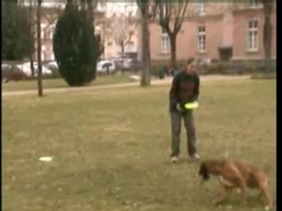 Les débuts de Benson