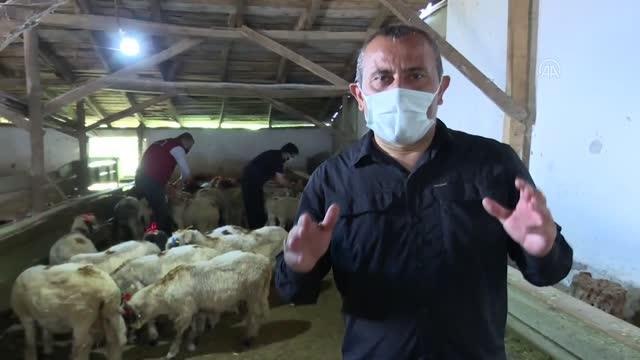 Hayırseverler, bayramda yetim ve öksüz çocukların yüzünü güldürecek