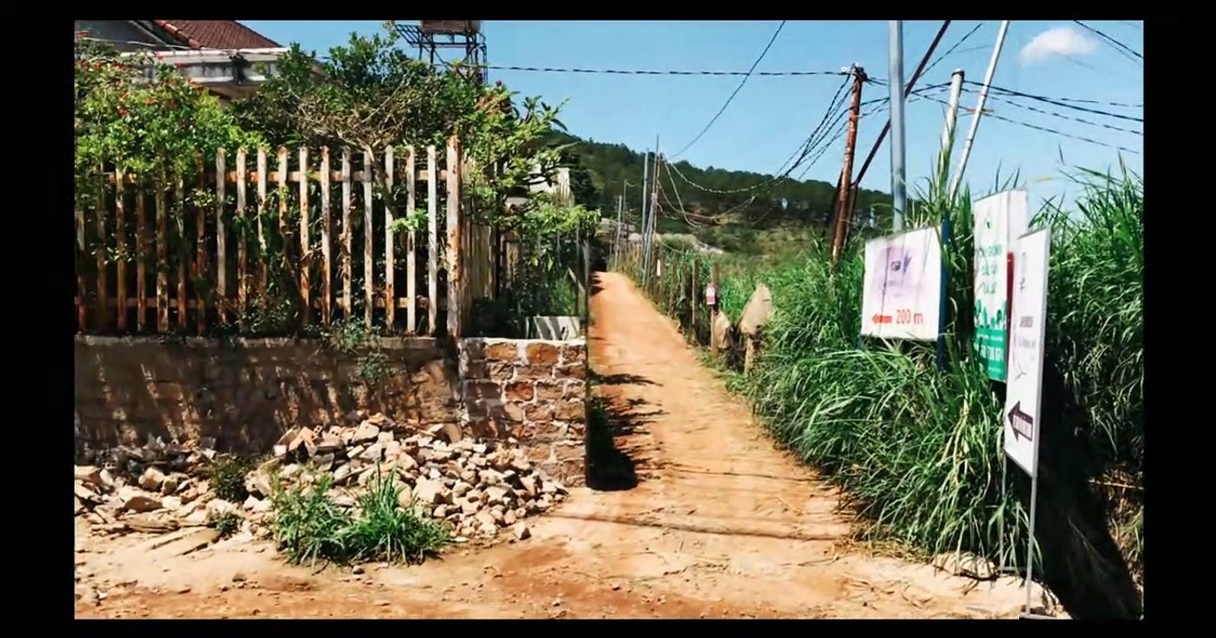 Khám phá vườn hoa Lavender siêu đẹp tại Đà Lạt
