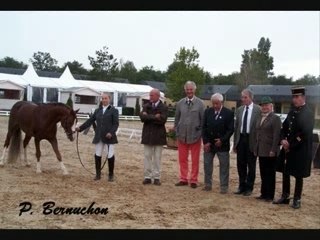 Montage vidéo PIDJI DU TILIA