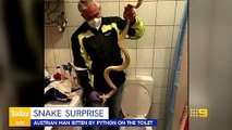 Aussie hosts freak out after snake bites man on toilet _ Today Show Australia