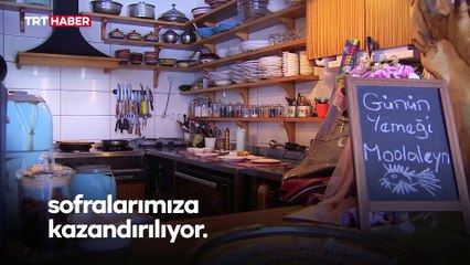 İstilacı balıklar menüye girdi