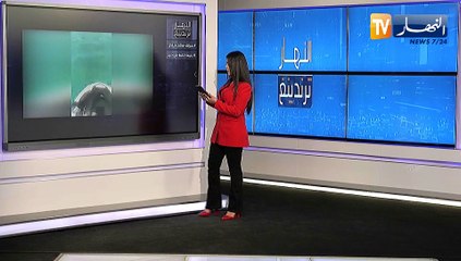 Video herunterladen: النهار ترندينغ: كاميرات مراقبة ترصد سرقة هاتف نقال وشباب ينقذون رضيعة في عرض البحر بتونس