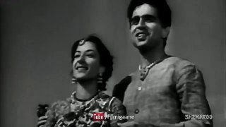 Main Bhawra Tu Hai Phool - Mela (1948) - Dilip Kumar - Nargis