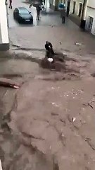 Sele kapılan Türk çiftin hayatını Avusturyalı komşusu kurtardı