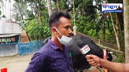 ময়মনসিংহের ত্রিশালের ১৫ শ কেজি ওজনের ষাঁড় গরু কালো মানিক