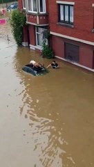 Maltempo, in Beglio cittadini salvano due cani dalle inondazioni - video