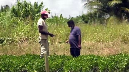 Flooded Farmers Get Help