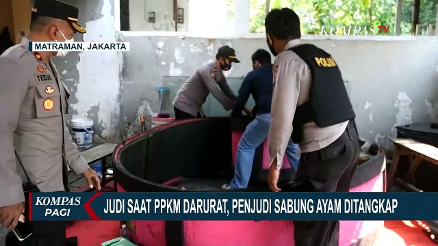 Polisi Gerebek Sabung Ayam saat PPKM Darurat, Puluhan Penjudi Kocar-Kacir!