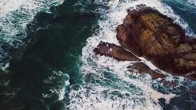 Free stock videos · Pexels Videos_2