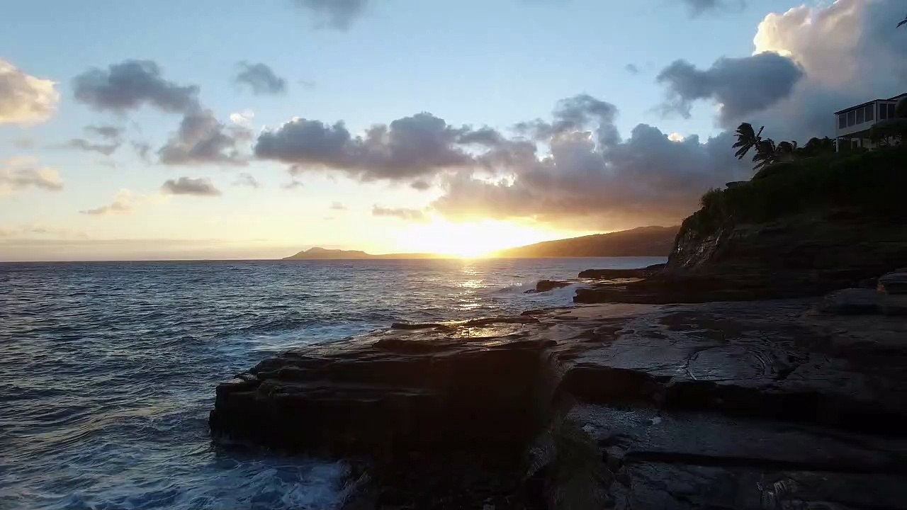 Pexels Videos 1093655