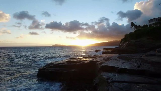 Pexels Videos 1093655