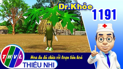 Dr. Khỏe - Tập 1191: Hoa đu đủ chữa rối loạn tiêu hoá
