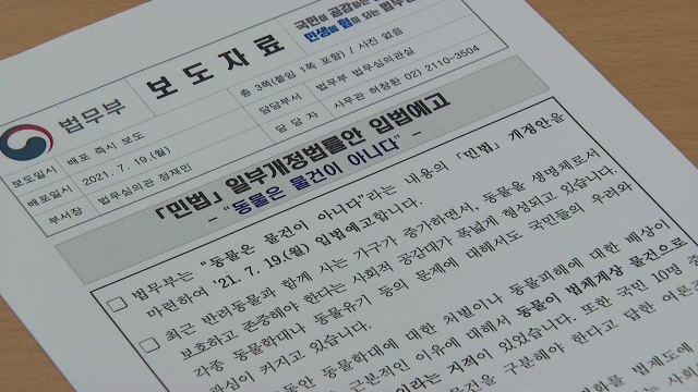 동물은 물건이 아니다 ...법무부, 민법 개정안 입법예고 / YTN