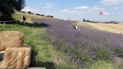 - Fransa’dan gelirken getirdiği 1 avuç tohumla kendi işini kurdu