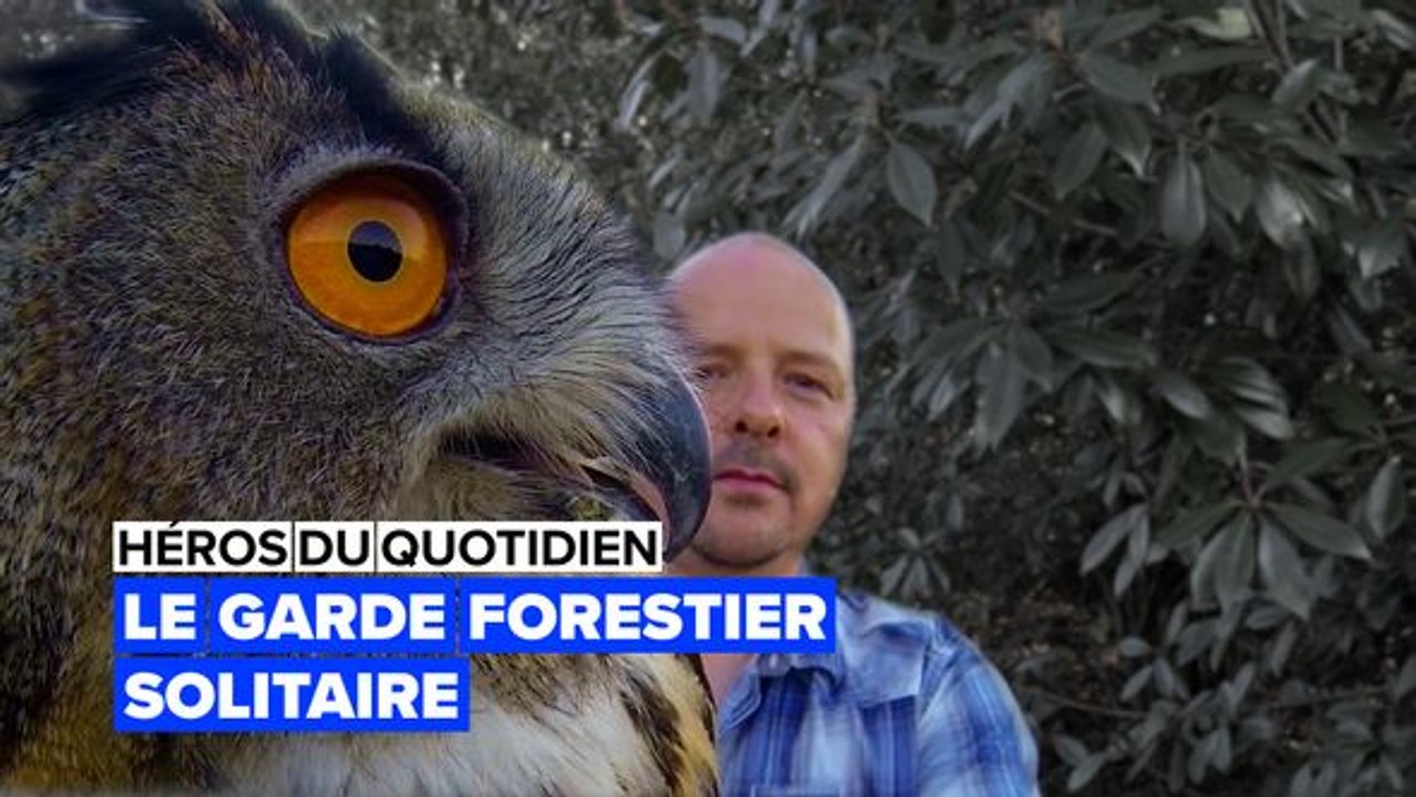 Sauveteur d'animaux