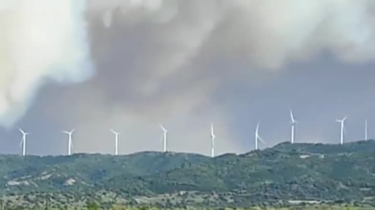 Las altas temperaturas de este fin de semana, detonantes de varios incendios forestales