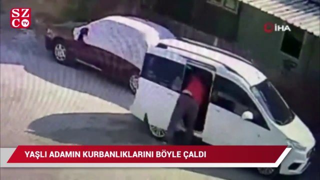 Yaşlı adamın kurbanlıklarını böyle çaldı