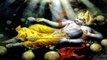 Devshayani Ekadashi 2021: देवशयनी एकादशी शुभ मुहूर्त 2021 | देवशयनी एकादशी पूजा विधि | Boldsky