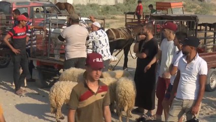 استعدادات في غزة لاستقبال عيد الأضحى المبارك