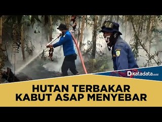 Hutan Terbakar Kabut Asap Menyebar | Katadata Indonesia