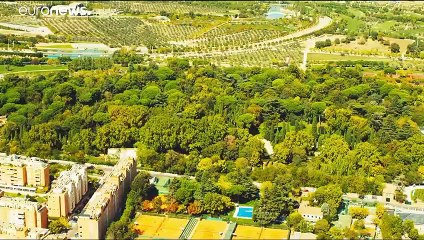 Madrid building a huge urban forest in bid to combat climate change