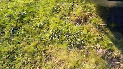 A unusual install of a Toilet, you can do it too