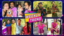 Celebrity Weekly Trend - EP. 60 | सध्या 'हे' कलाकार काय करतात? |