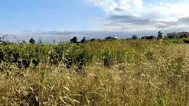 Vivo X60 Pro - Prueba con estabilización de serie