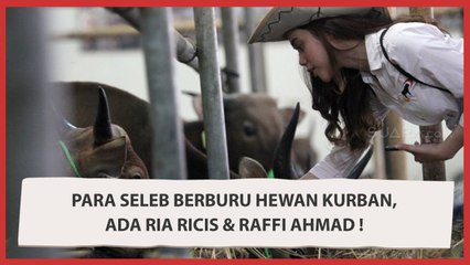 Para Seleb Berburu Hewan Kurban, Ada Ria Ricis & Raffi Ahmad !