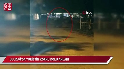 下载视频: Uludağ'da turistin korku dolu anları