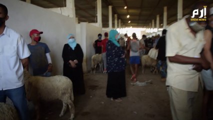 تونس...تصاعد الوضع الوبائي يلقي بظلاله على "علوش العيد"(فيديو إرم)